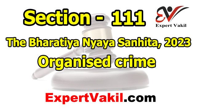 BNS Section 111, Section 111 BNS, BNS 111 Organised Crime, Organised Crime under BNS, 111, BNS Section 111 punishment, expert vakil BNS Section 111, Section 111 BNS, BNS 111 Organised Crime, Organised Crime under BNS, 111, BNS Section 111 punishment, expert vakil
