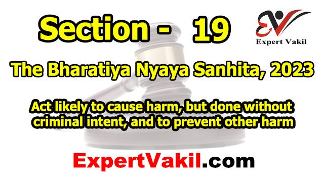 BNS Section 19 in Hindi