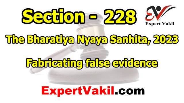 बीएनएस धारा 228 क्या है | BNS Section 228 in Hindi
