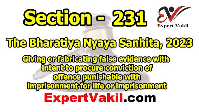 बीएनएस धारा 231 क्या है | BNS Section 231 in Hindi