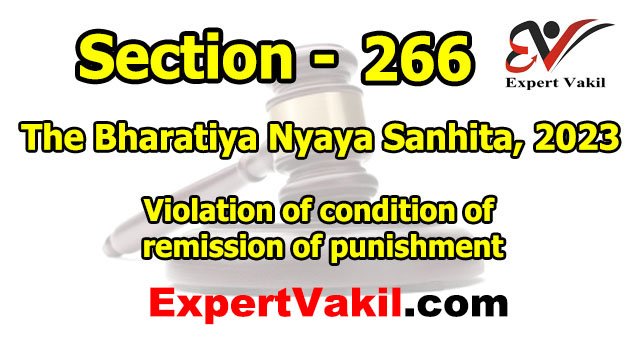 बीएनएस धारा 266 क्या है | BNS Section 266 in Hindi