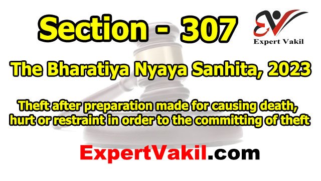 बीएनएस धारा 307 क्या है - सजा और जमानत | BNS Section 307 in Hindi