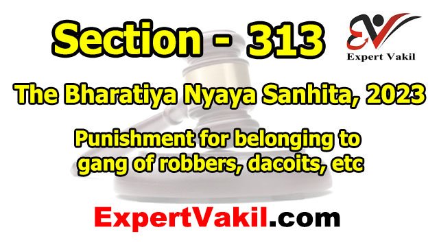 बीएनएस धारा 313 क्या है | BNS Section 313 in Hindi
