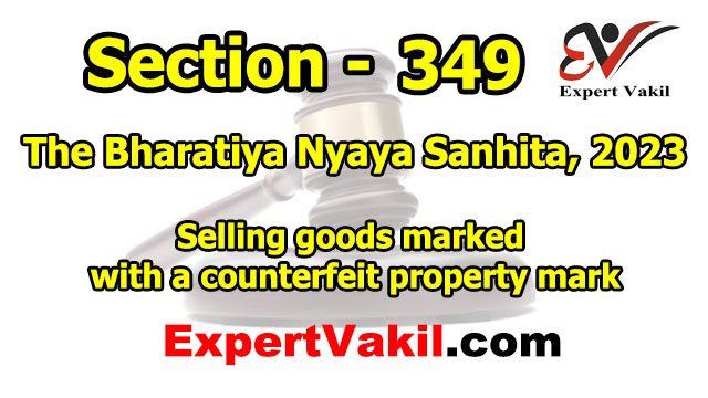 बीएनएस धारा 349 क्या है | BNS Section 349 in Hindi